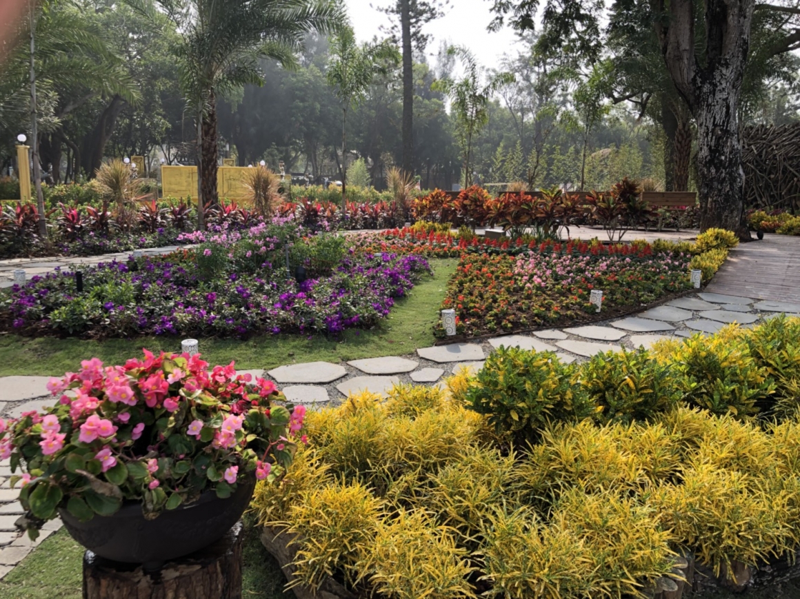 -神奇的花園-1 -神奇的花園-1